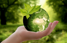 Environmental Sciences